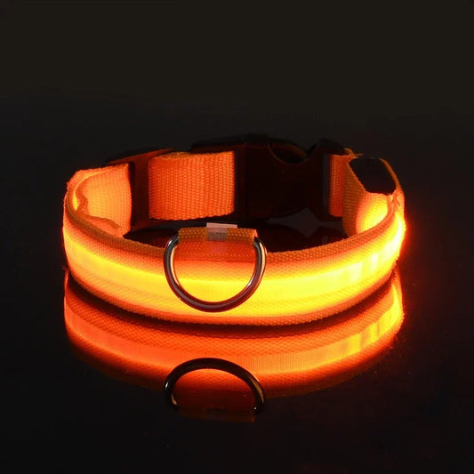 LED Dog Collar – Rechargeable & Waterproof Night Safety Light