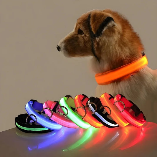 LED Dog Collar – Rechargeable & Waterproof Night Safety Light